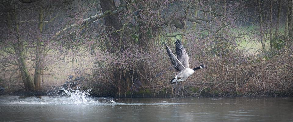 darktable 5.2.0 released